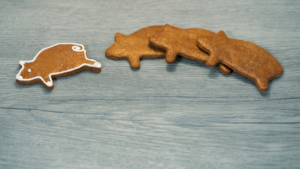 Fragrant gingerbread piggy for good luck on wood background. Pig shaped cookies with one individual independent leader. Concept of win, success, leadership, exceptionality or New Year and Xmas card.