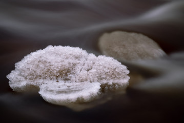 Icy turtle