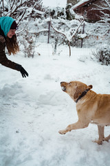 dog running in snow