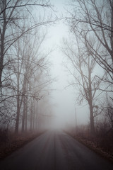 Fog on the road