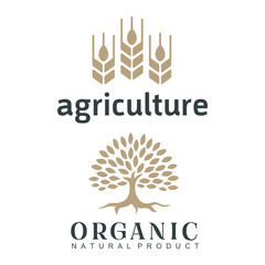 Agriculture Logo Template Design. Icon, Sign or Symbol. farm, nature, ecology. Vector flat design - Vector