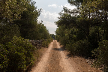 Empty macadam and dusty road trough wilderness and forest of Croatian island Brac. Road trough nature with green forest and blue sky during summer. Narrow road