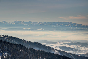 Frozen landscape with pine forests on slopes of Babia hora peak, Orava valley filled with haze and...