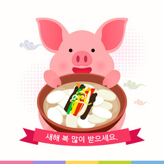 Obraz na płótnie Canvas Seollal (Korean New Year) vector illustration. Cute pig holding Tteokguk(Rice cake soup). Korean Translation: 