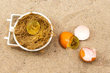 Fototapeta na wymiar Gold bitcoins in a cracked eggshell above nest. Bitcoins and New Virtual money concept