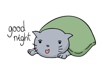 funny cat and good night message