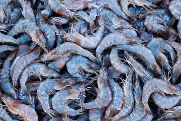 Raw prawns or shrimp in ingredients of cooking.