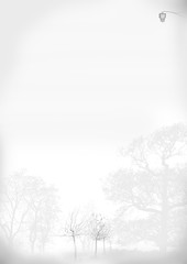 Background pictures for writing4