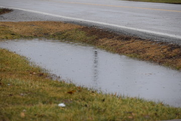 Ditch