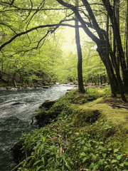River