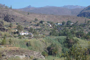 Fototapeta na wymiar In den Bergen Gran Canarias I