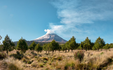 Cloud of smoke comes out of Popocatepetl volcano seen from the Izta-Popo Zoquiapan National Park