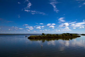 Louisiana, dintorni di New Orleans (USA)