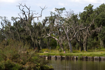 Louisiana, dintorni di New Orleans (USA)