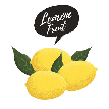 Fresh lemon fruit. Lemon and green leaves vector illustration. Fresh cute lemon illustration