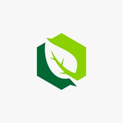 Green leaf star shape natural logo design