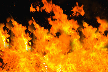 Yellow fire with black background. High flame. Concept of burn, blaze, heat, hot