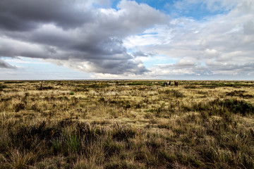 Panorami del Texas e del New Mexico (USA)