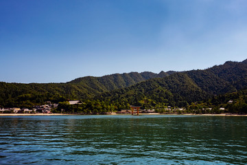 miyajima torii gate in the water