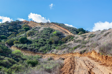 Dirt roads cut into forest for development
