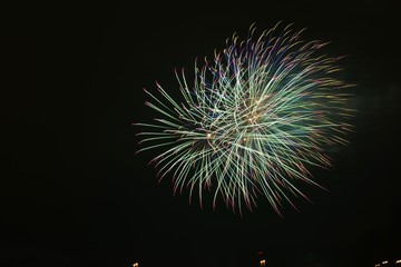 Fireworks in the night sky