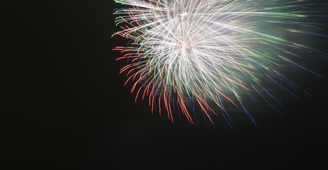 Fototapeta premium Fireworks in the night sky