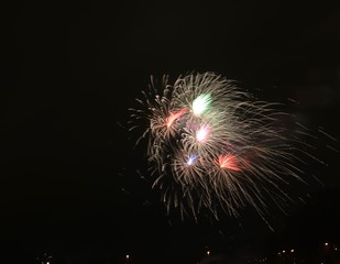 Fireworks in the night sky