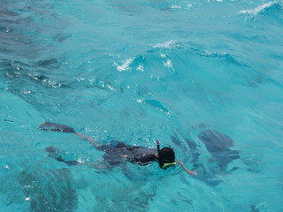 Snorkeling in the Caribbean blue sea 