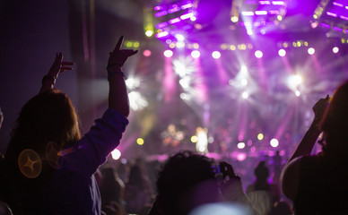 Audience Hands in the Air at Concert 3