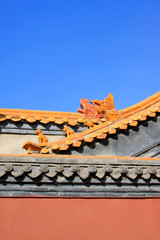 Fototapeta na wymiar Yellow glazed tile dragon head sculpture