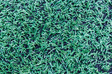 Artificial Turf