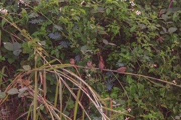 A small bird perched on a branch.