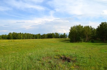 Green lawn, forest and cloudy sky