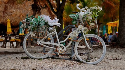 Parks in Tampa, Florida