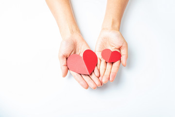 Hands holding red hearts / dedication love charity concept poster