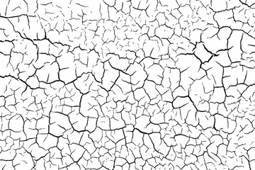 The cracks texture white and black. Vector background.Cracked earth. Structure of cracking. Cracks in dry surface soil texture. shards