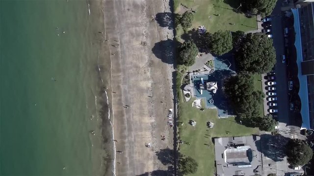 High above the ground in Browns Bay, New Zealand