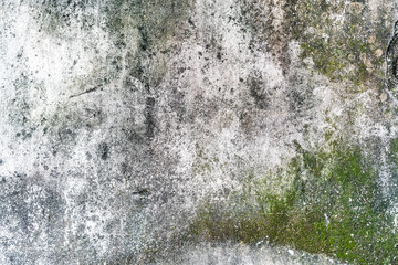 Old concrete wall with water drips and traces with moss texture. Perfect for background.