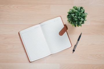 Office desk with leather note book , pen and tree .Top view with copy space.