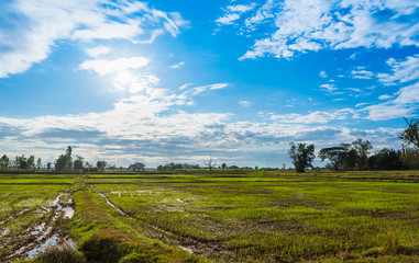 Sky, fields, nature, tourism Asian lifestyle
