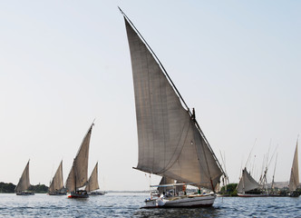 Fototapeta premium Sail boats on the Nile river in Egypt