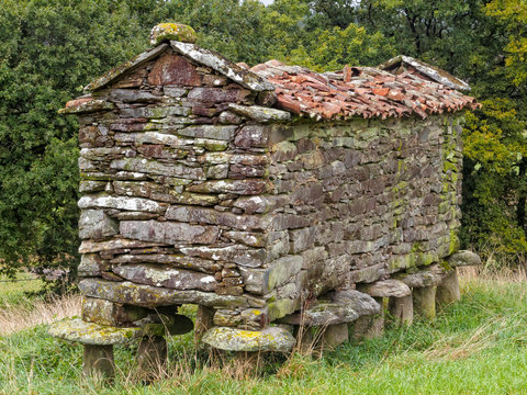 Dry-stone granary (horreo), the unofficial symbol of Galicia - Vilarserio, Galicia, Spain