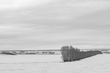 Fototapeta premium picturesque view of snow-covered forest on field at winter day 