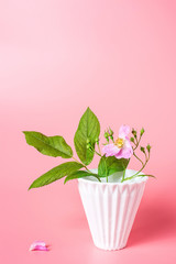 a bottle of pink briar flower arrangement
