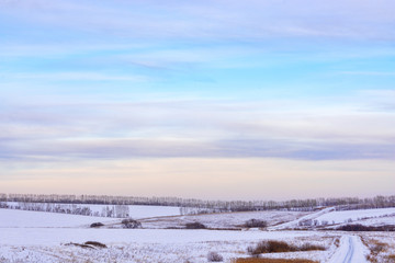 picturesque view of snow-covered forest on field at winter day 