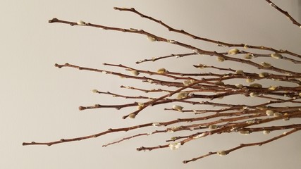 twig 