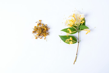 Honeysuckle/Chinese herbal tea flower background material on white background