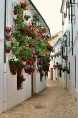 Fototapeta na wymiar Flower lined street in the Medieval town of Priego Spain