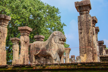 Lion Statue at Polonnaruwa Sri Lanka