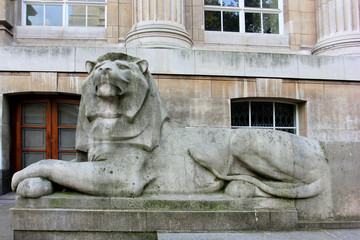 British Museum back stone lions, London, UK